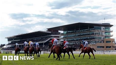 Ladbrokes hit by ‘worst Cheltenham ever’ .